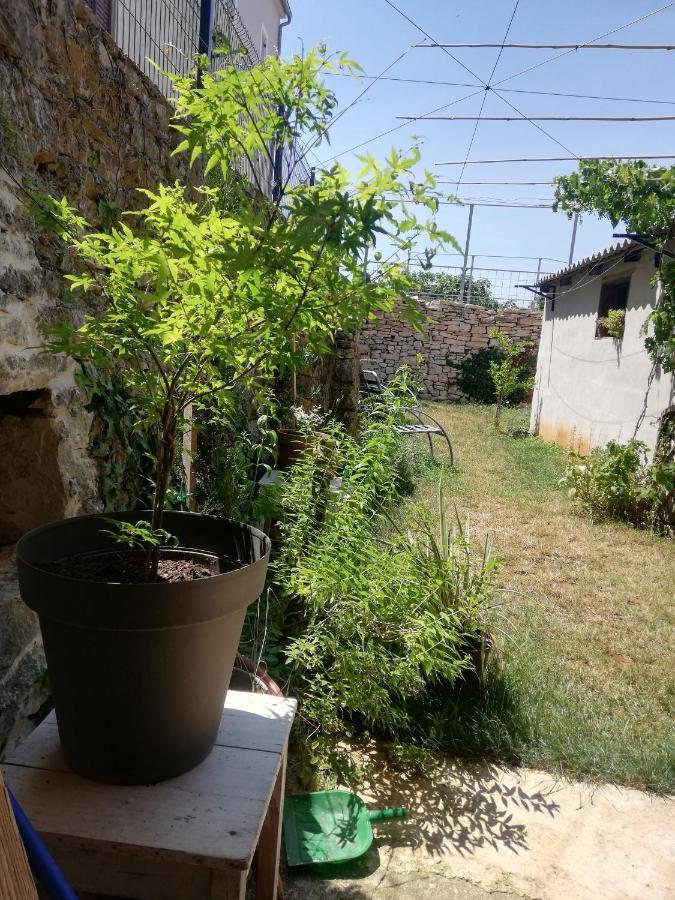 Apartament Old Istrian House,Free Parking Galižana Zewnętrze zdjęcie